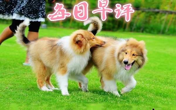 点击查看原图