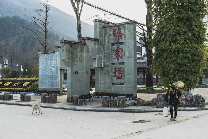 点击查看原图