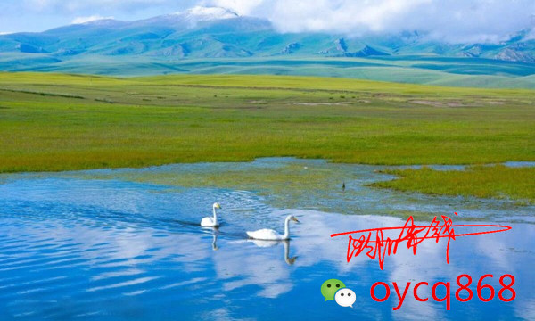 点击查看原图