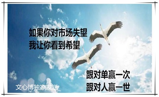 点击查看原图