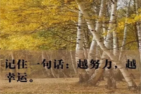 点击查看原图