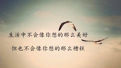 点击查看原图