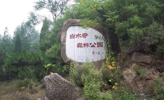 点击查看原图