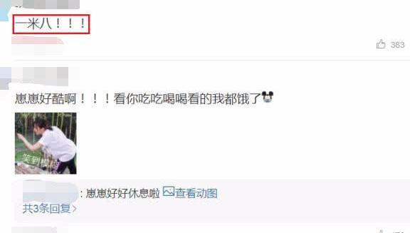 点击查看原图