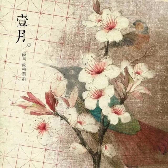 点击查看原图