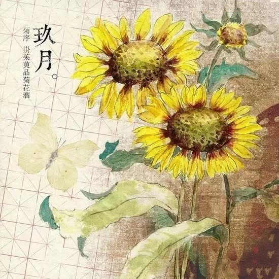点击查看原图