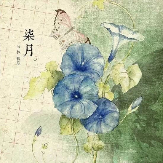 点击查看原图