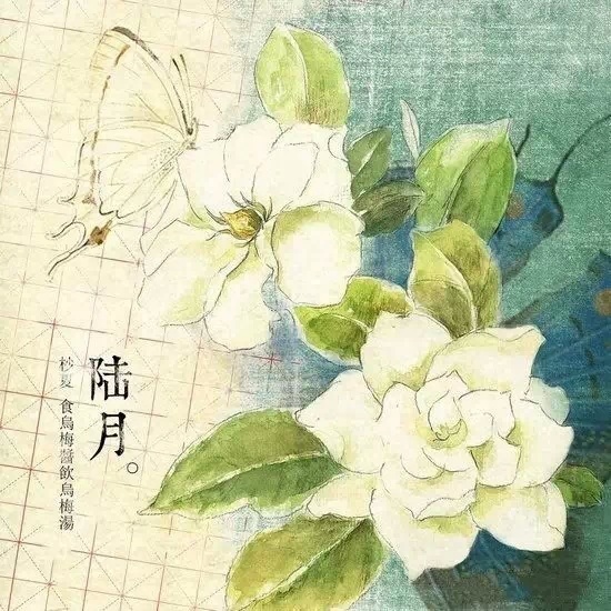 点击查看原图