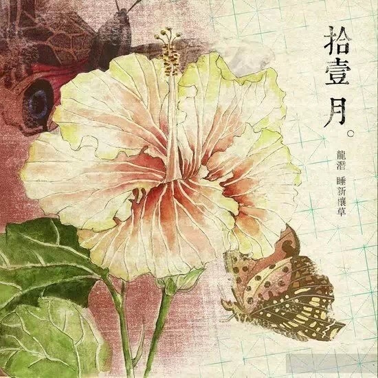 点击查看原图