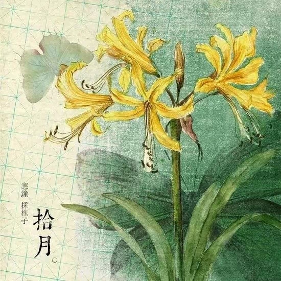 点击查看原图