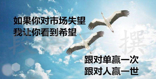 点击查看原图
