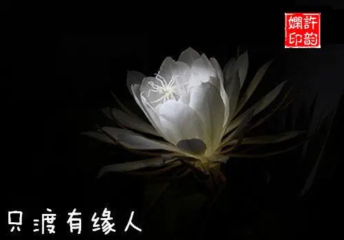 点击查看原图