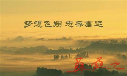 点击查看原图