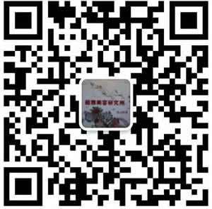 点击查看原图