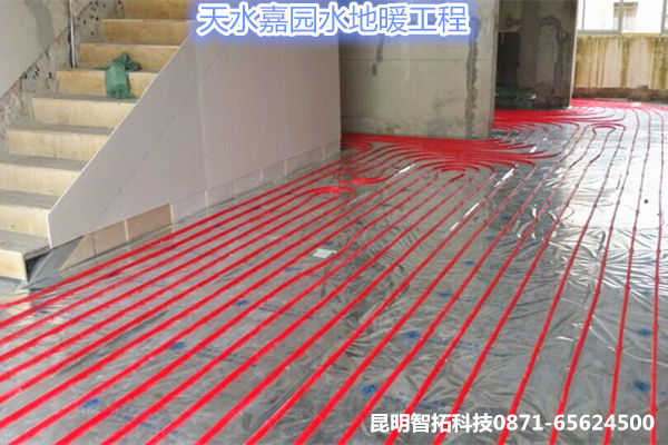 点击查看原图